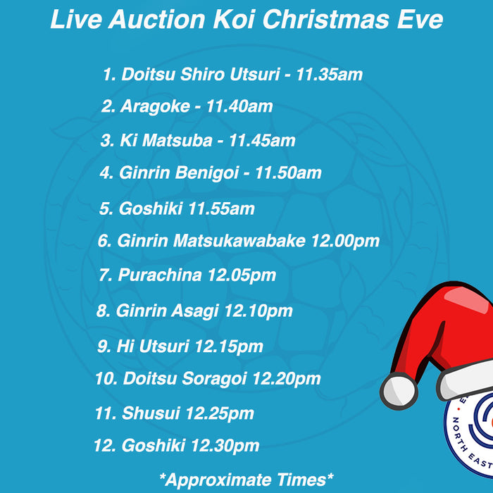 CHRISTMAS EVE LIVE AUCTION - Starts 11:30am