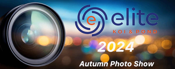 Autumn Photo Show 2024