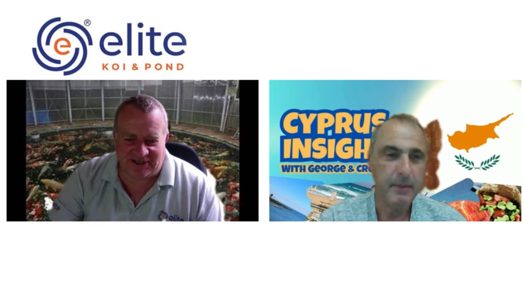 Elite Koi and Cyprus Insight team up for the cats of Protoras