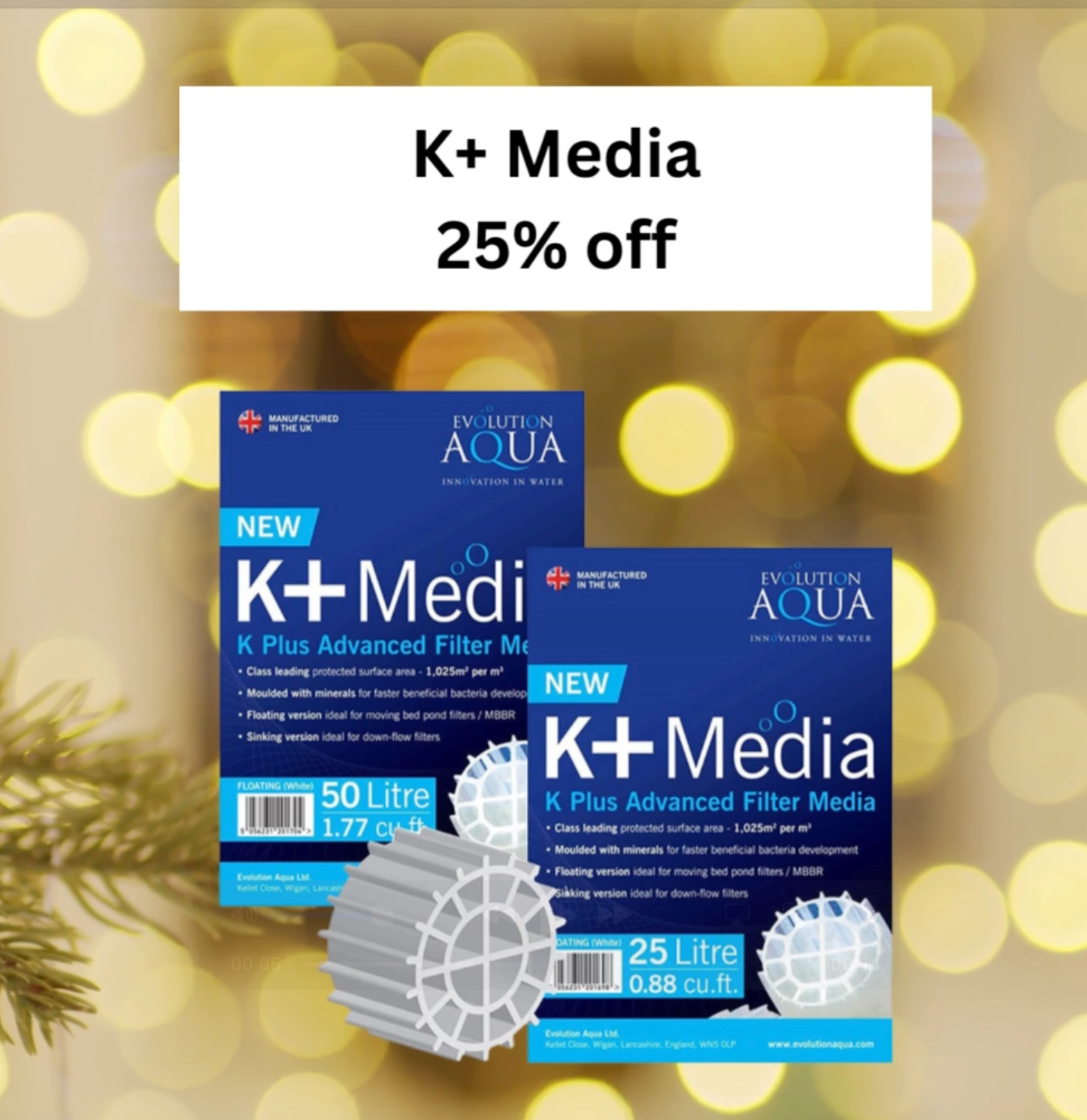 🎄 Day 12 Christmas Deal at Elite Koi: 25% OFF K+ Media! 🎄