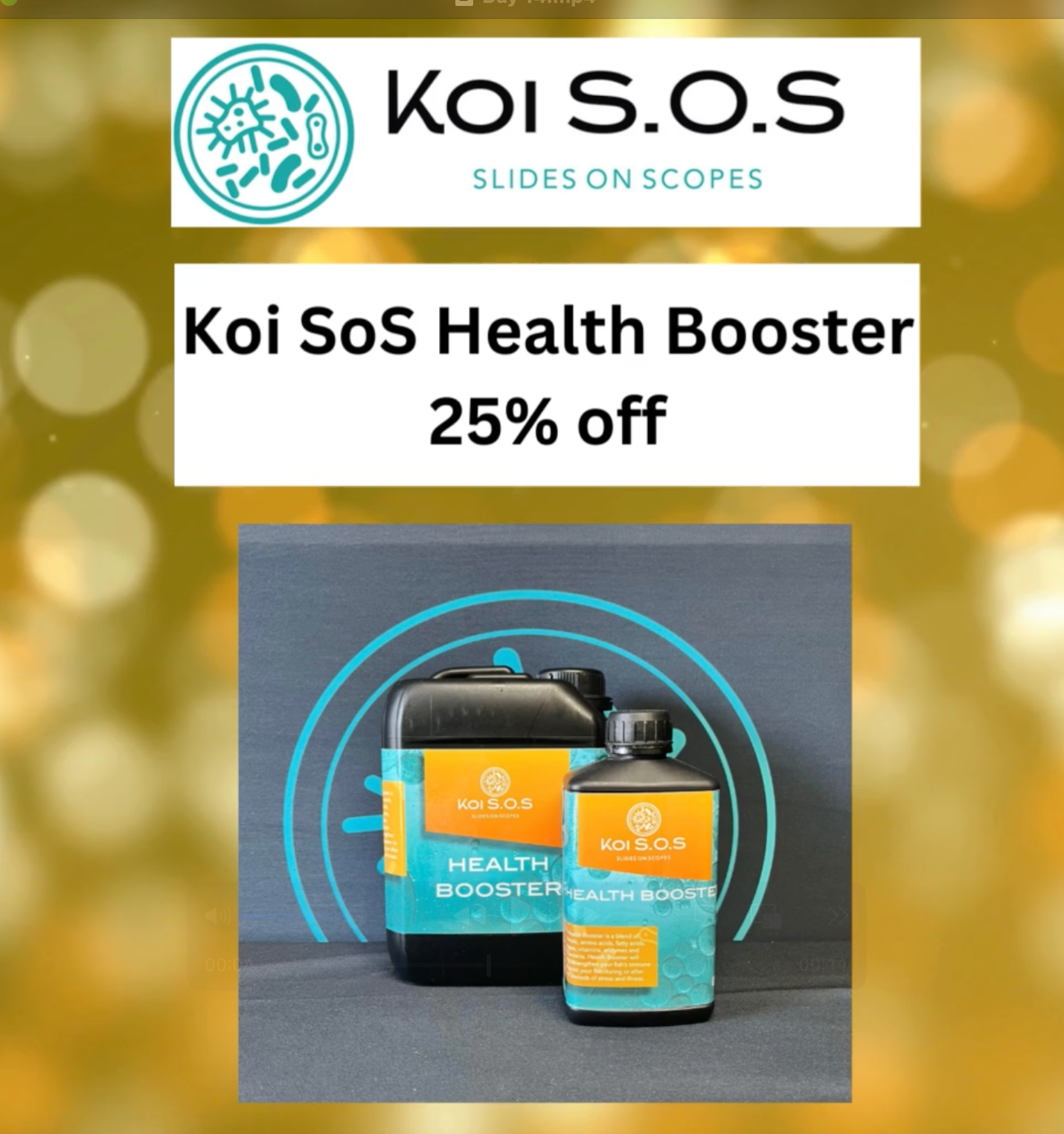 🎄 Day 14 Christmas Deal at Elite Koi: 25% OFF Koi SOS Health Booster! 🎄