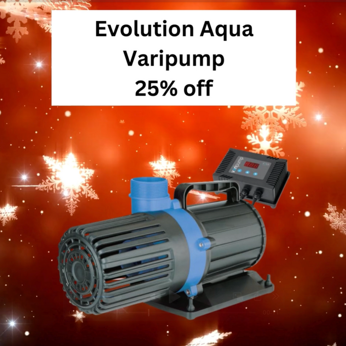 🎄 Day 19 Christmas Deal at Elite Koi: 25% OFF Evolution Aqua Varipump! 🎄