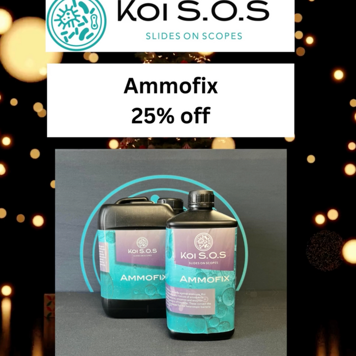 🎄 Day 20 Christmas Deal at Elite Koi: 25% OFF Koi SOS Ammofix! 🎄