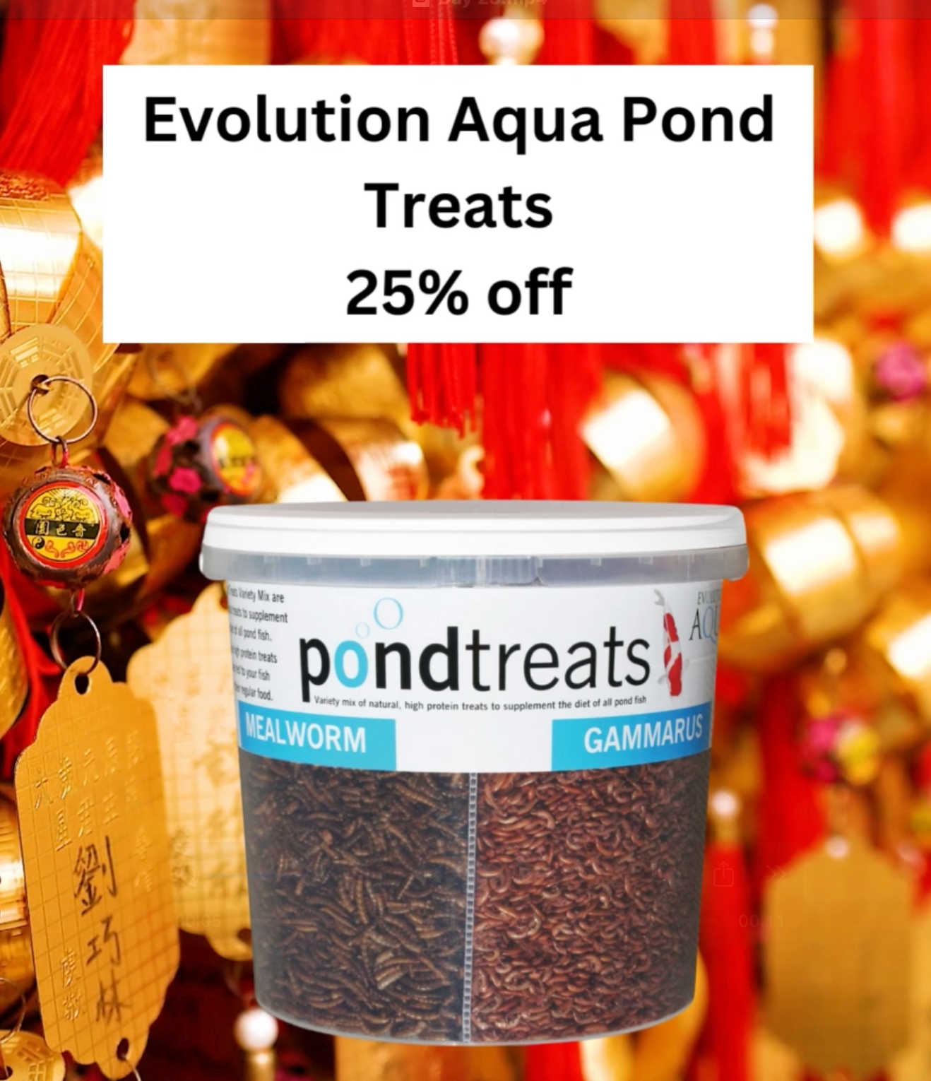 🎄 Day 23 Christmas Deal at Elite Koi: 25% OFF Evolution Aqua Pond Treats! 🎄