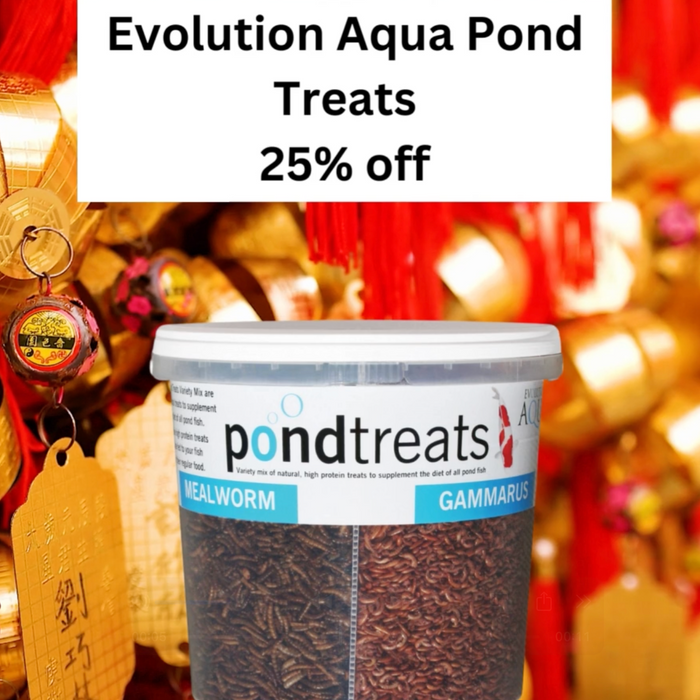 🎄 Day 23 Christmas Deal at Elite Koi: 25% OFF Evolution Aqua Pond Treats! 🎄