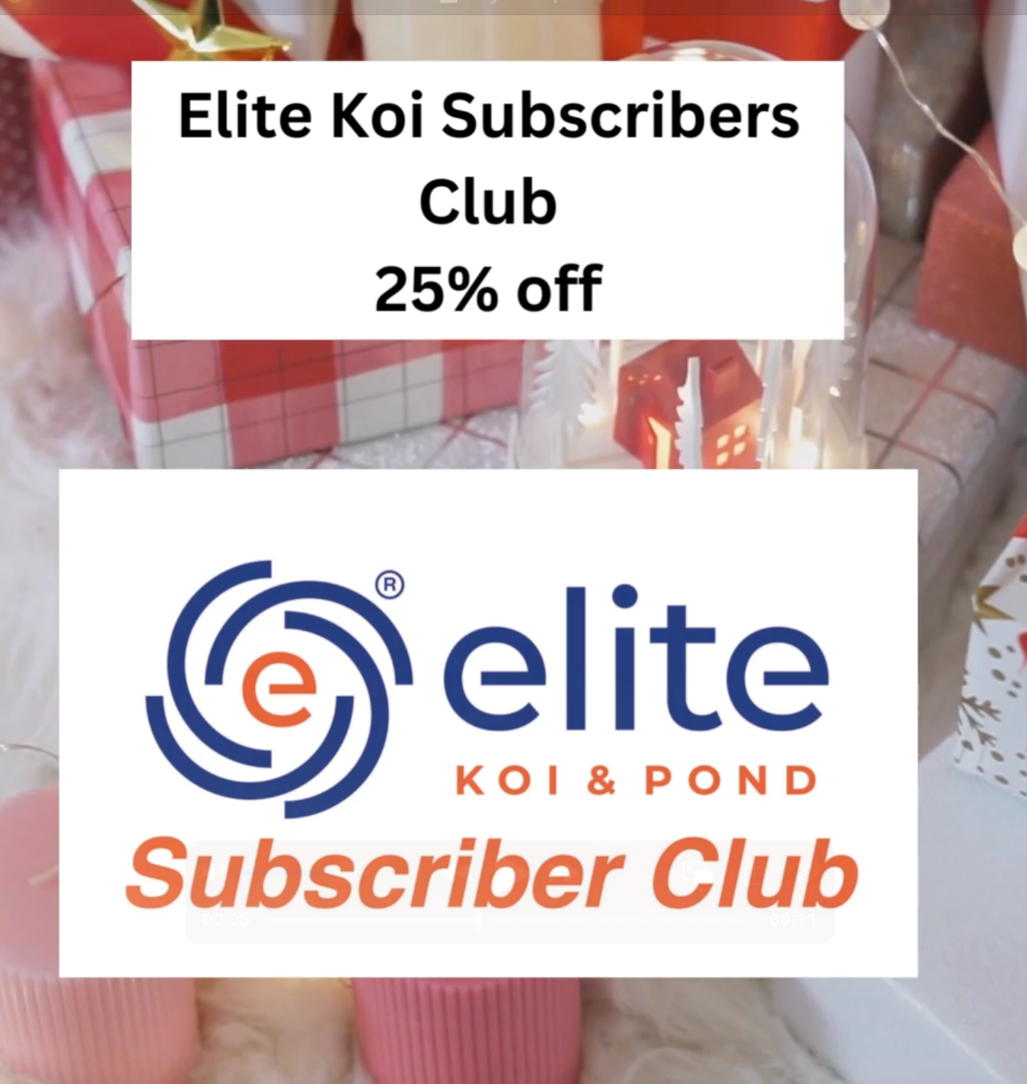 🎄 Day 24 Christmas Deal at Elite Koi: 25% OFF Elite Koi Subscribers Club Membership! 🎄