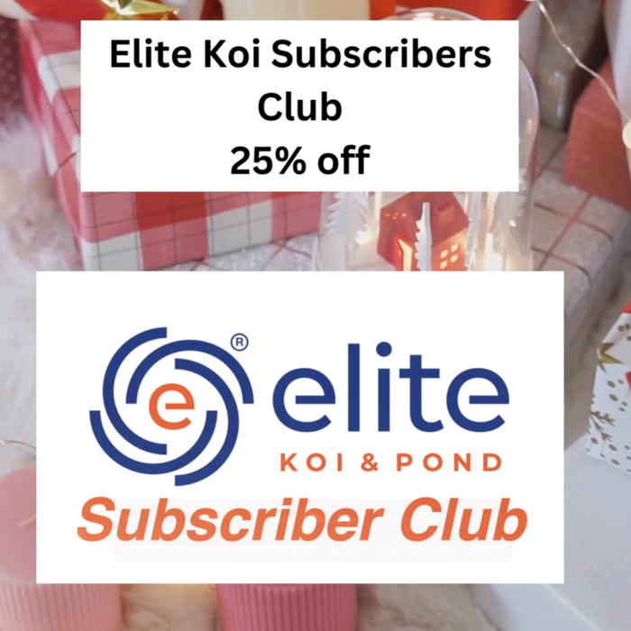 🎄 Day 24 Christmas Deal at Elite Koi: 25% OFF Elite Koi Subscribers Club Membership! 🎄