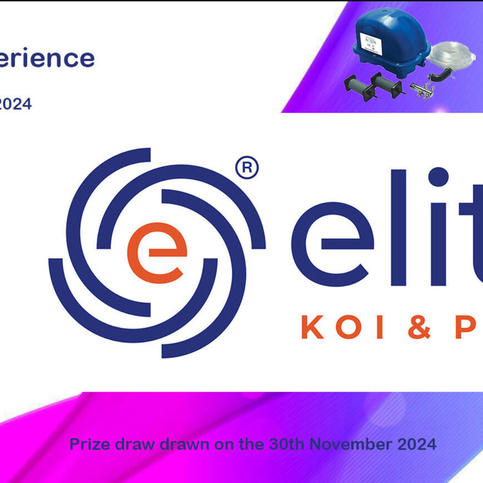 The Koi Elite Experience