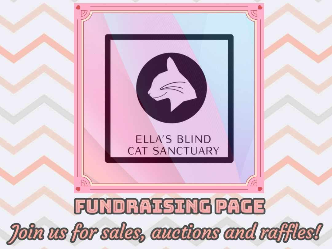 Elite Koi & Cyprus Insight Charity Auction for Ella's Blind Cat Sanctuary