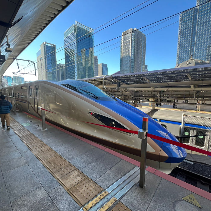 Day 5 in Japan: The Bullet Train to Niigata