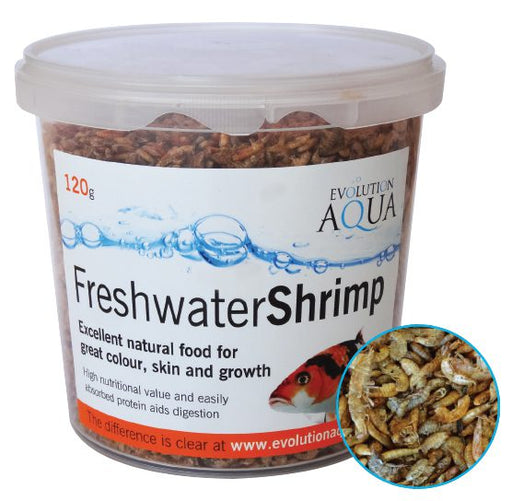 Evolution Aqua Pond Freshwater Shrimps