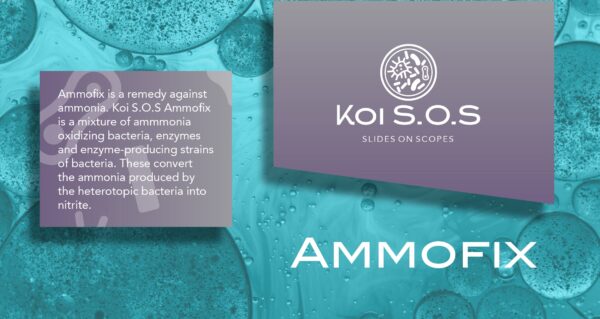 Koi SOS Ammofix - Image 2