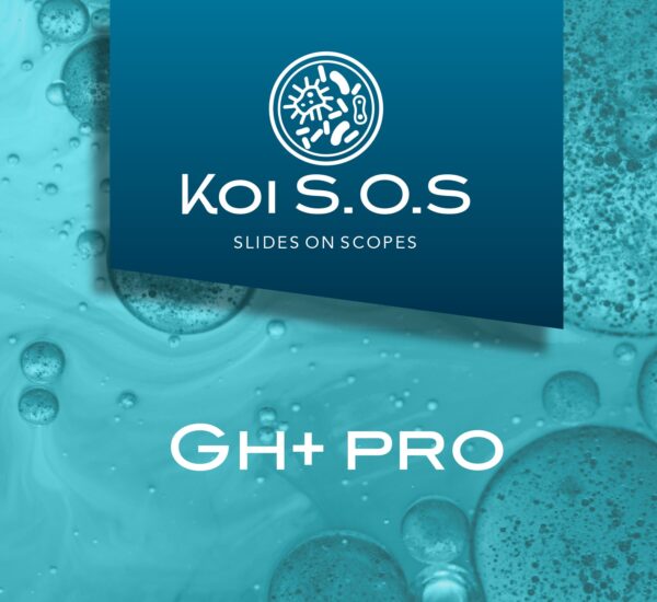 Koi SOS GH+ Pro - Image 2