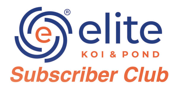 Elite Koi Subscribers Club ( 12 Month Subscription )