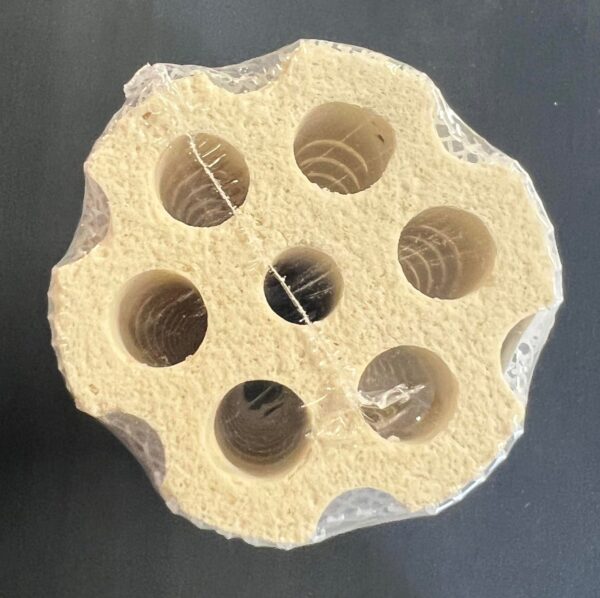 Lotus Root Bacteria House (L) III