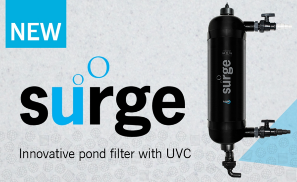 Evolution Aqua Surge Filter