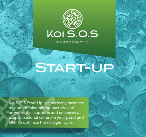 Koi SOS Start Up - Image 2