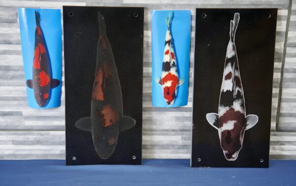 Koi Plaques - Image 15